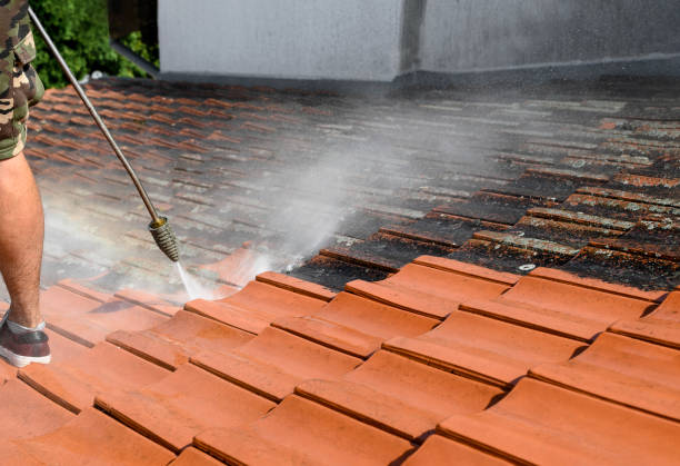 Best Best Pressure Washing Companies  in New Buffalo, MI