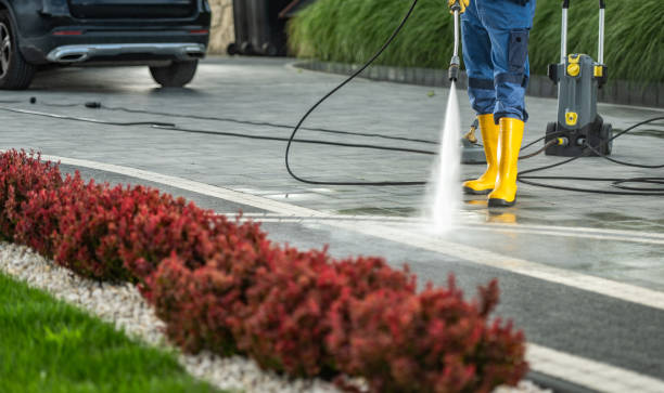 Roof Power Washing Services in New Buffalo, MI